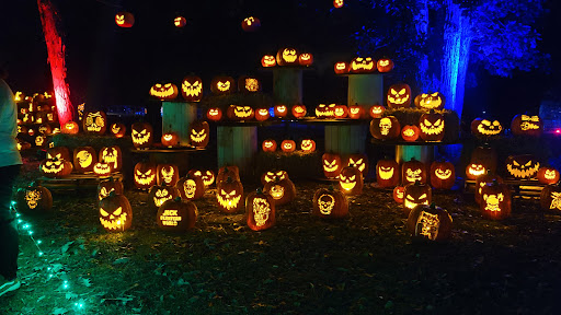 Park «Paulus Park», reviews and photos, 200 S Rand Rd, Lake Zurich, IL 60047, USA