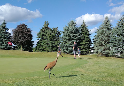 Golf Course «Fieldstone Golf Club», reviews and photos, 1984 Taylor Rd, Auburn Hills, MI 48326, USA