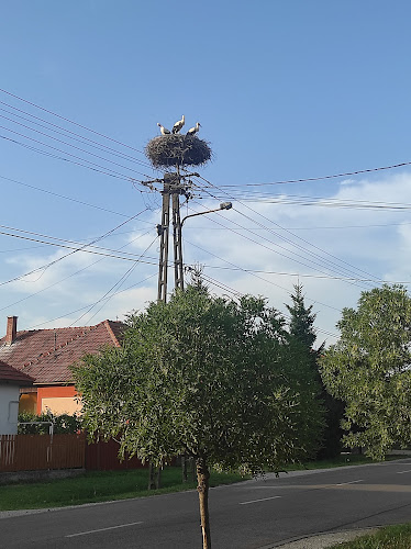 Értékelések erről a helyről: Jászfényszaru, külső iskola, Jászfényszaru - Sportpálya