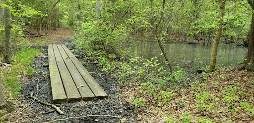 Nature Preserve «Eldora Nature Preserve», reviews and photos, 2350 NJ-47, Delmont, NJ 08314, USA