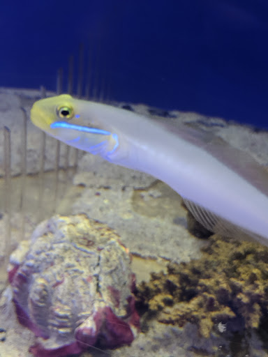 Pet Store «Fin-N-Feather», reviews and photos, 2931 F St, Eureka, CA 95501, USA