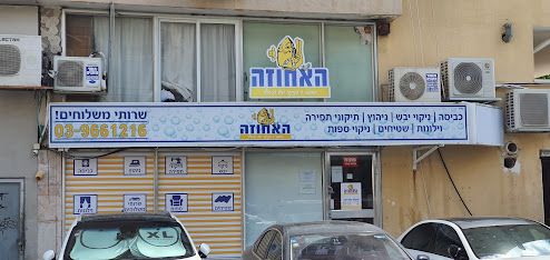 תמונה