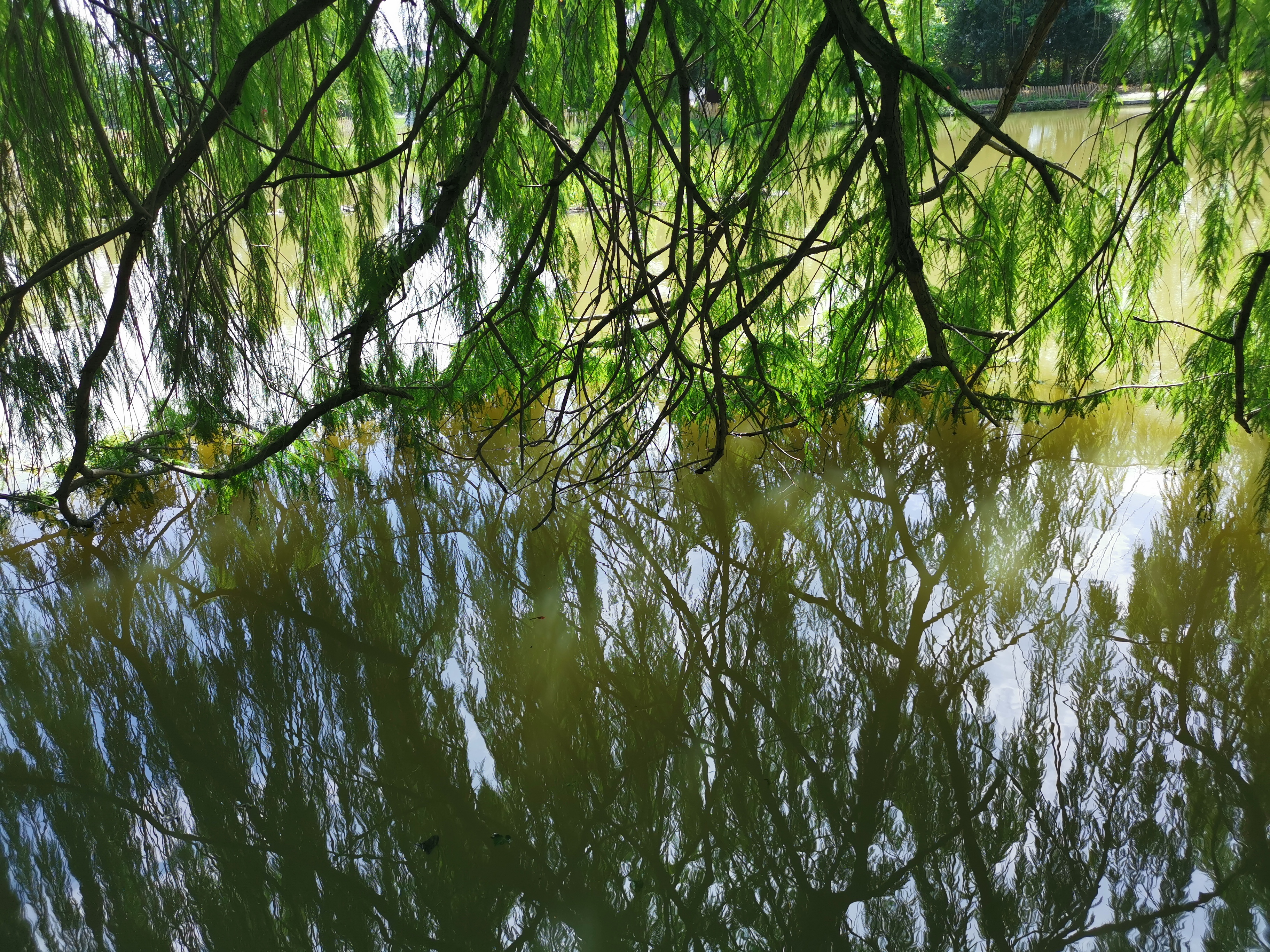 Photo n° 2 de l'avis de Jerome.u fait le 23/06/2019 à 14:27