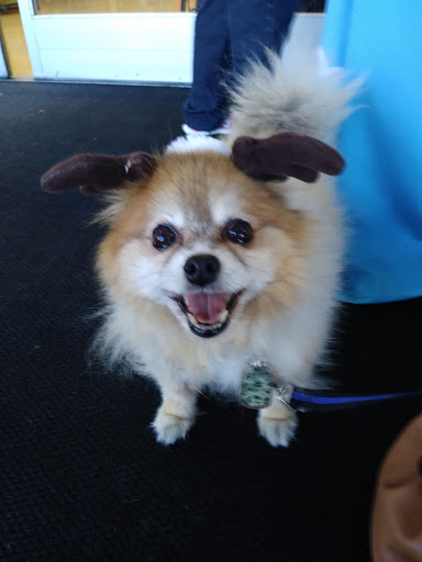 Pet Supply Store «Petco Animal Supplies», reviews and photos, 3055 N President George Bush Hwy, Garland, TX 75040, USA