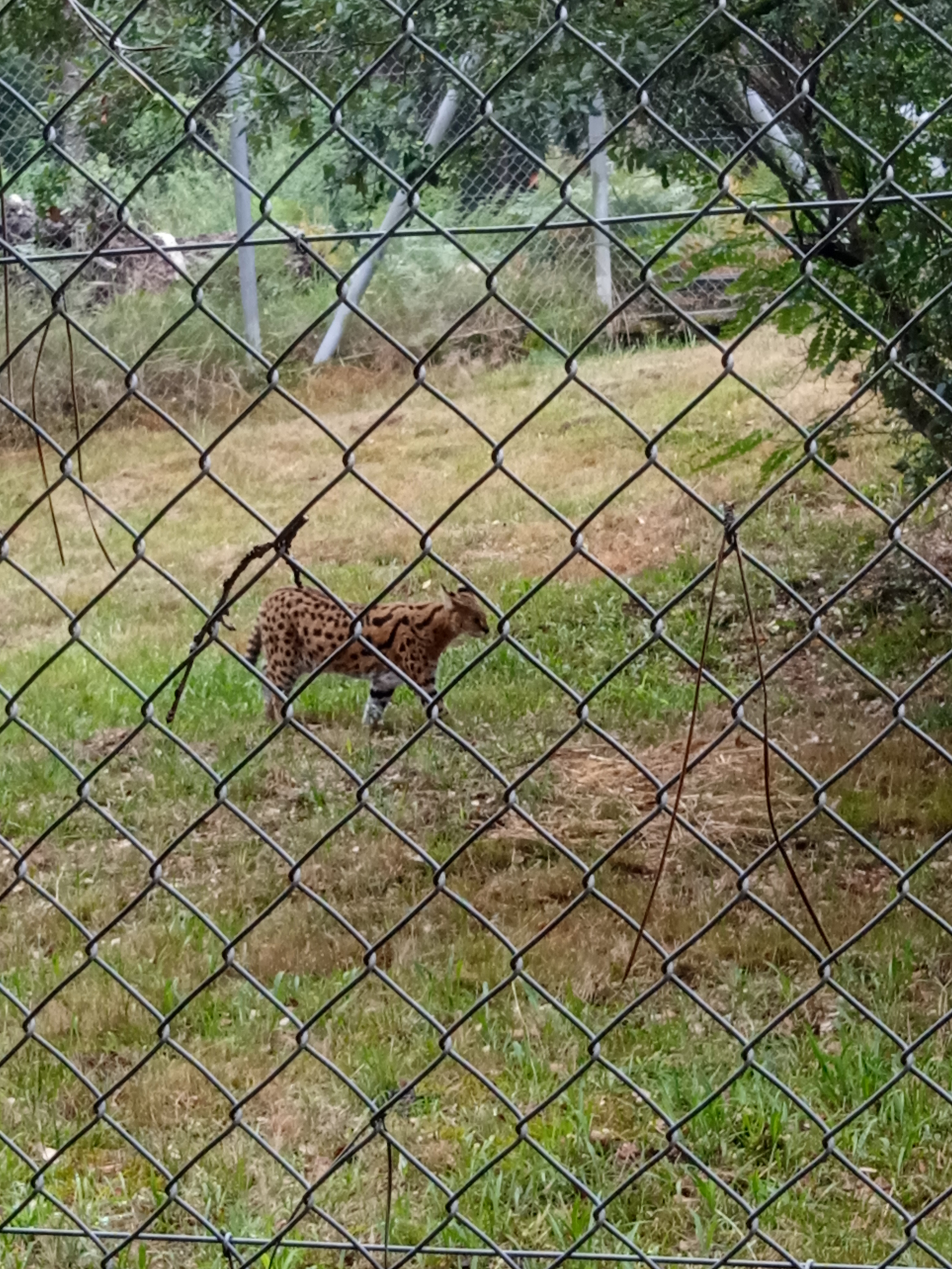 Photo n° 15 de l'avis de Enora.o fait le 30/07/2021 à 18:57
