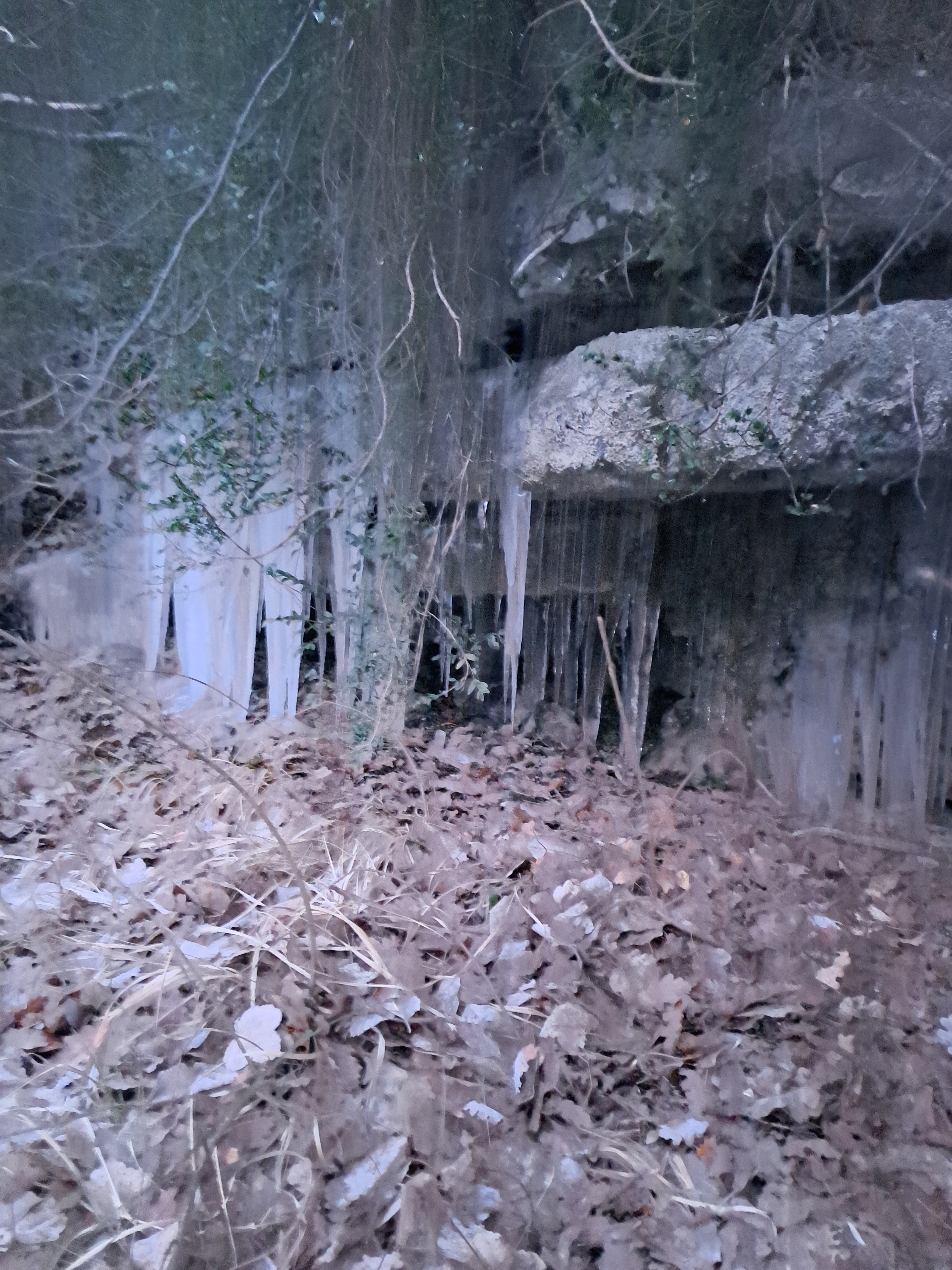 Photo n° 5 de l'avis de Emma.I fait le 29/01/2023 à 22:44