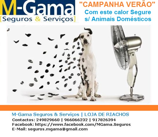 Comentários e avaliações sobre o M-Gama - Seguros & Serviços