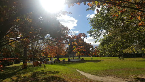 Grocery Store «Stop & Shop», reviews and photos, 67 Newtown Ln, East Hampton, NY 11937, USA