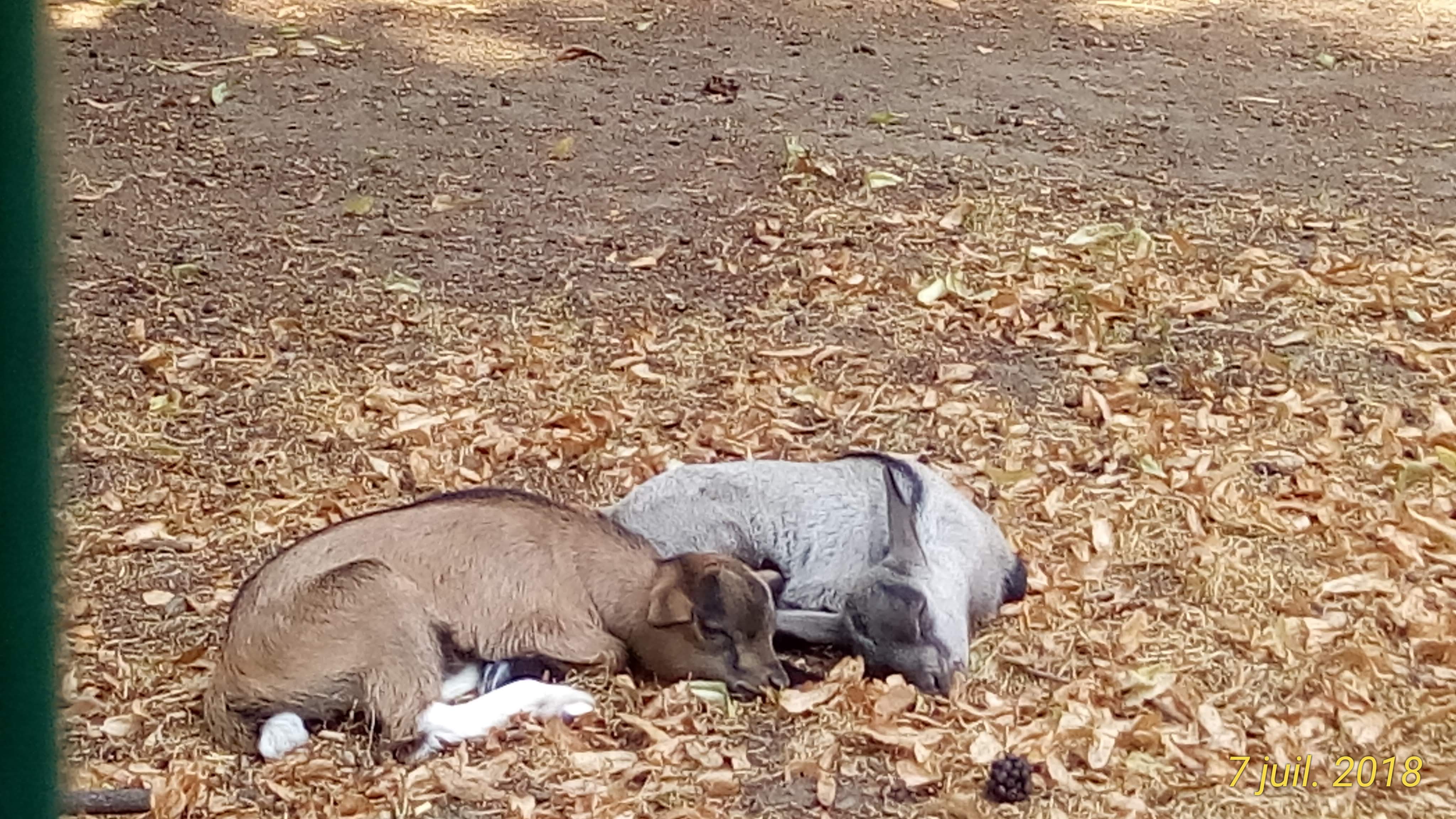 Photo n° 2 de l'avis de Annick.O fait le 20/07/2018 à 07:20