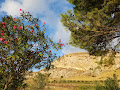 Photos des visiteurs Bed & Breakfast Eden di Segesta 91013 Calatafimi-Segesta (miniature)