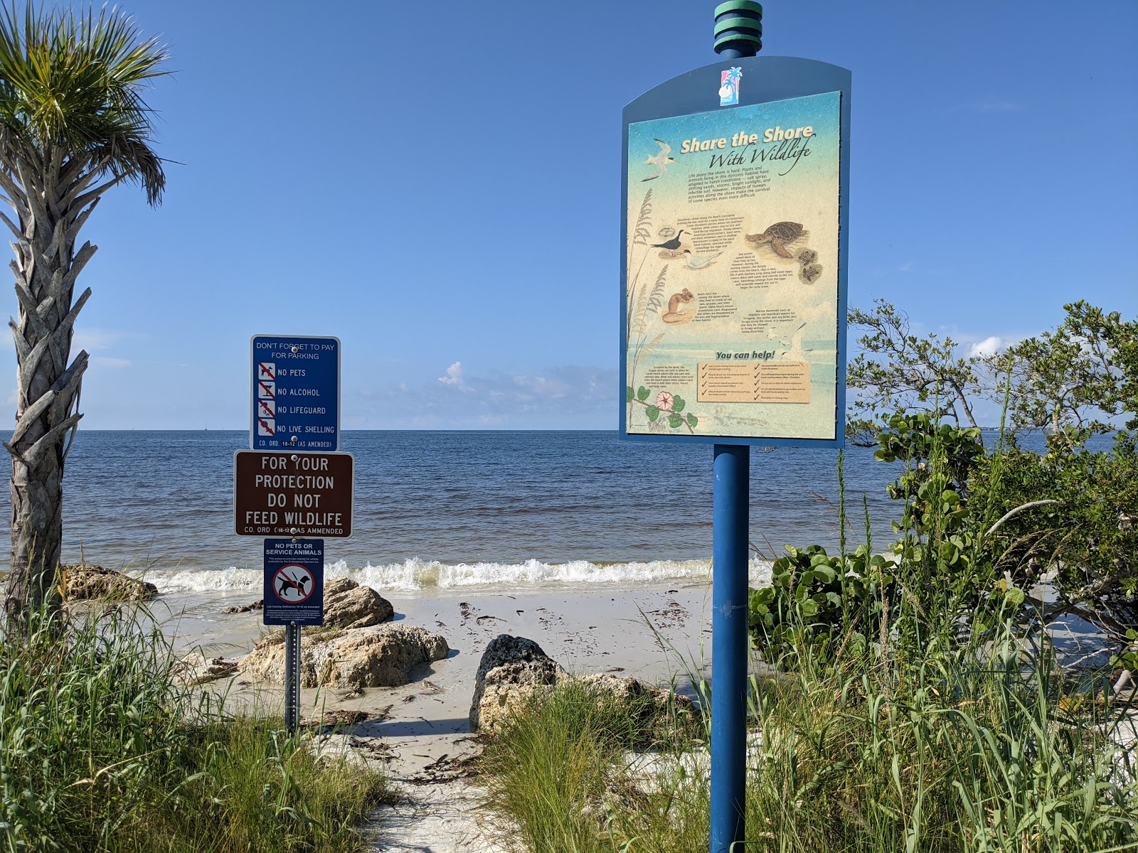 Foto de Bunche beach área selvagem