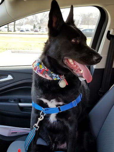 Pet Supply Store «Pet Supplies Plus», reviews and photos, 22124 Ecorse Rd, Taylor, MI 48180, USA