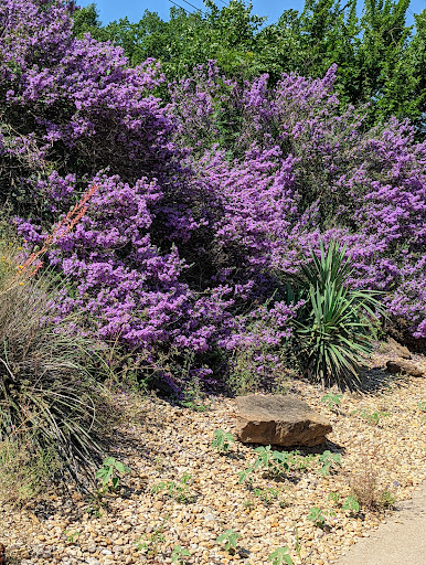 Park «Bob Eden Park», reviews and photos, 901 W Mid Cities Blvd, Euless, TX 76039, USA