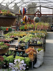 Guentner's Gardens - Photo 5 - Car repair in Salem, OR, Salem