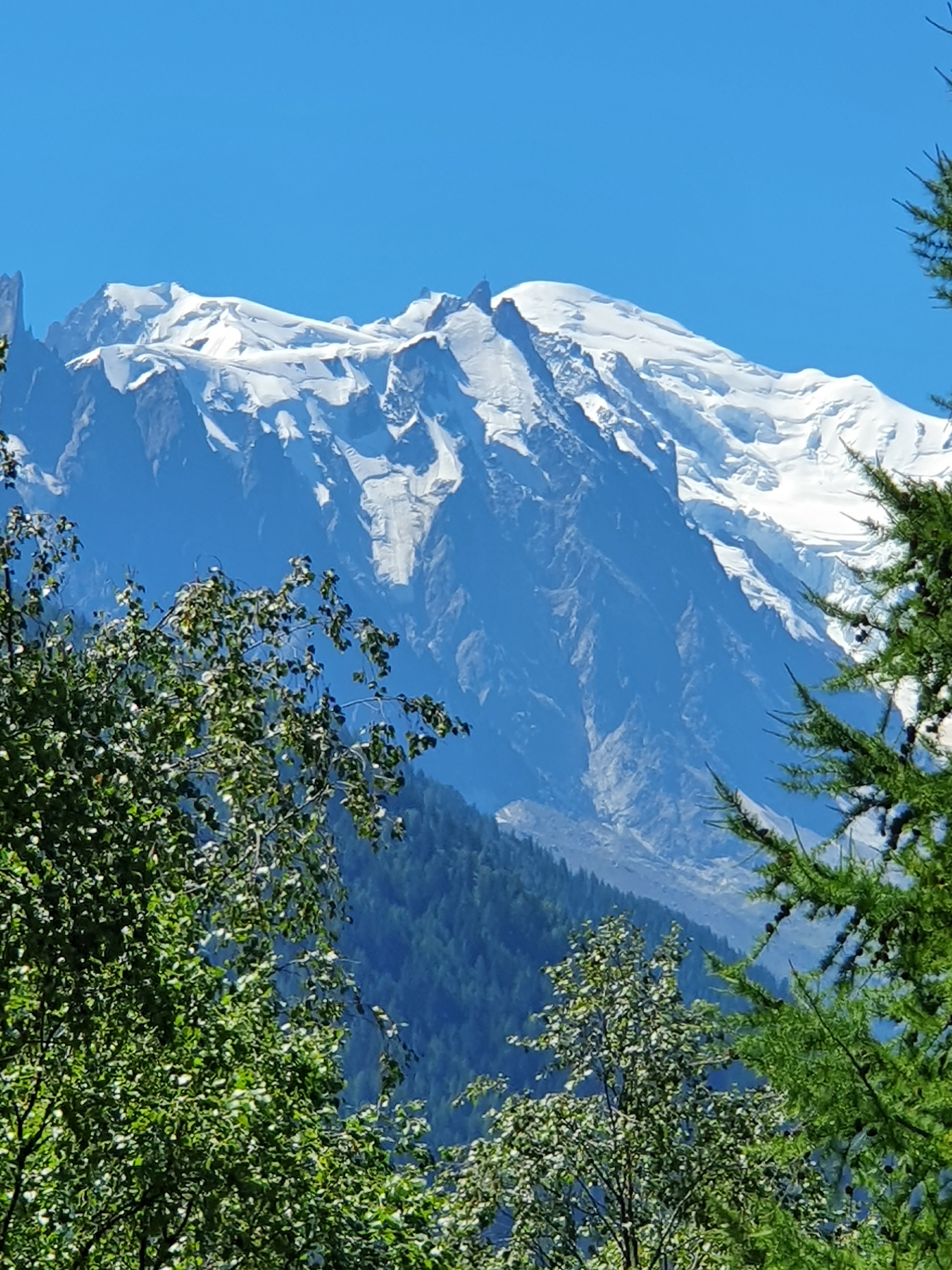 Photo n° 7 de l'avis de alexandra.u fait le 19/08/2022 à 14:22