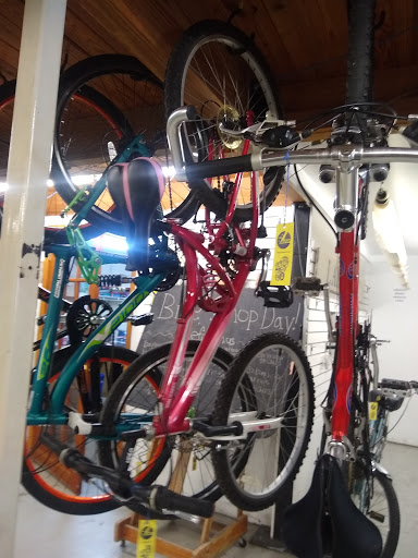 Bicycle Store «LakeShore Bicycles», reviews and photos, 2108 Blanding Blvd, Jacksonville, FL 32210, USA