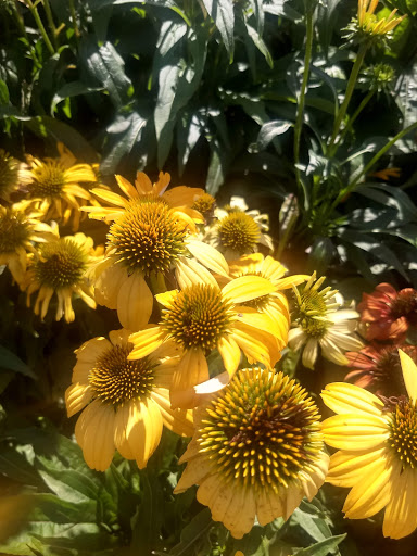 Home Improvement Store «The Home Depot», reviews and photos, 1101 Sunrise Hwy, Copiague, NY 11726, USA