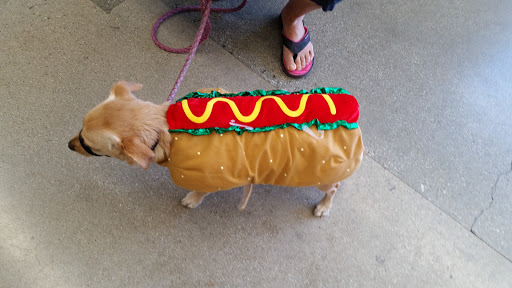 Pet Supply Store «Unleashed by Petco», reviews and photos, 905 W Foothill Blvd, Claremont, CA 91711, USA