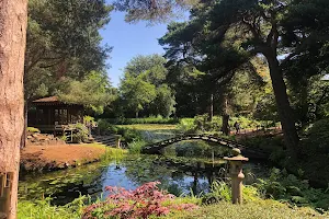 Golden Brook Pits image