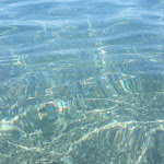 Photo n°1 de l'avis de rosario.a fait le 05/09/2020 à 18:05 sur le  RIVIERA DEL SOLE à Piraino