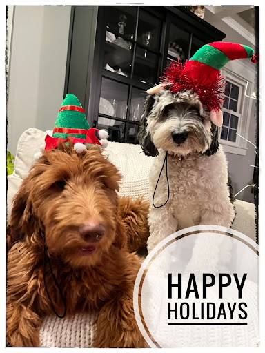 Auto Insurance Agency «William Thomson - State Farm Insurance Agent», reviews and photos