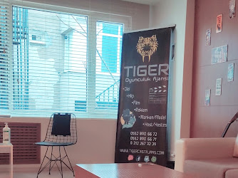 Tiger Film Yapım & Akademi