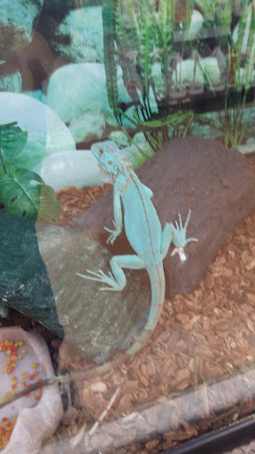 Pet Supply Store «Petco Animal Supplies», reviews and photos, 1080 Washington Square Center, Washington, MO 63090, USA