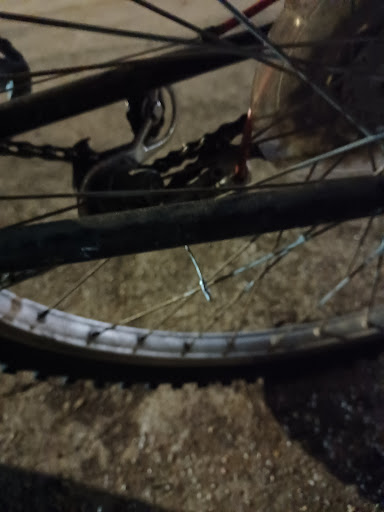 Bicycle Store «Bike Barn - Champions», reviews and photos, 6935 Cypresswood Dr Ste D, Spring, TX 77379, USA