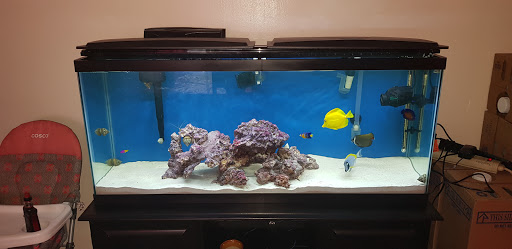 Tropical Fish Store «BluReef Aquarium», reviews and photos, 2198 Flatbush Ave, Brooklyn, NY 11234, USA