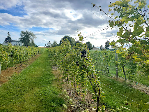 Winery «Door 44 Winery», reviews and photos, 4020 State Hwy 42 Bus #2, Sturgeon Bay, WI 54235, USA