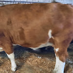 Photo n° 15 de l'avis de Emmanuelle.u fait le 21/08/2022 à 13:39 pour Le Vieux Mas à Beaucaire