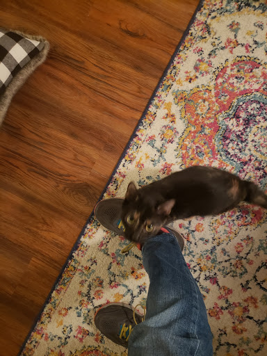 Thrift Store «Goodwill Industries Store & Donation Center», reviews and photos, 374 Windsor Hwy, New Windsor, NY 12553, USA