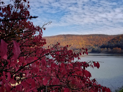 Fishing Area «Kinzua Dam», reviews and photos