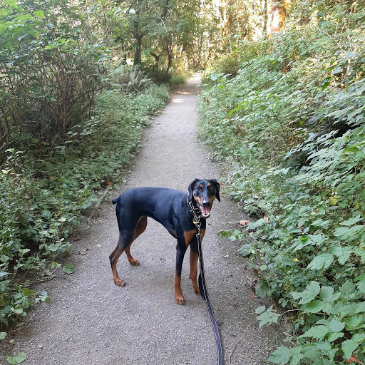 Tourist Attraction «Preston-Snoqualmie Trail Head parking», reviews and photos, Preston-Snoqualmie Trail, Fall City, WA 98024, USA