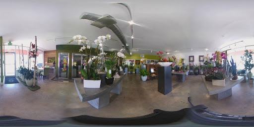 Florist «Miami Gardens Florist», reviews and photos, 18500 W Dixie Hwy, Aventura, FL 33180, USA