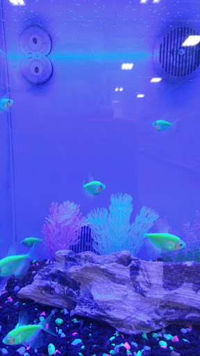 Pet Supply Store «PetSmart», reviews and photos, 144 Retail Commons Pkwy, Martinsburg, WV 25403, USA