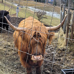 Photo n°3 de l'avis de Elvira.o fait le 11/01/2023 à 12:14 sur le  Rastlhof à Schenna