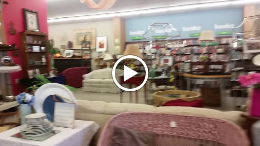 Thrift Store «Safe Haven Animal Sanctuary Thrift Shop», reviews and photos, 840 El Paseo Rd, Las Cruces, NM 88001, USA