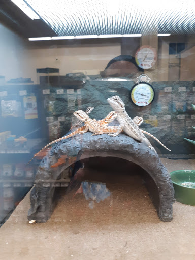 Pet Supply Store «Petco Animal Supplies», reviews and photos, 175 Grandview Blvd #600, Madison, MS 39110, USA