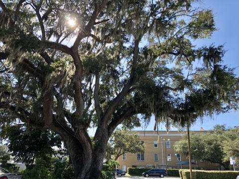 Legal Services «Heintz & Becker», reviews and photos