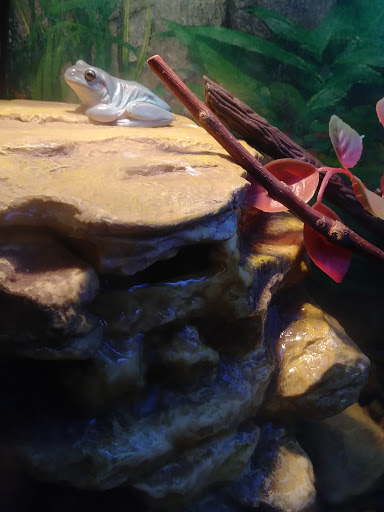 Pet Supply Store «CountryMax - Geneseo», reviews and photos, 4101 Lakeville Rd, Geneseo, NY 14454, USA