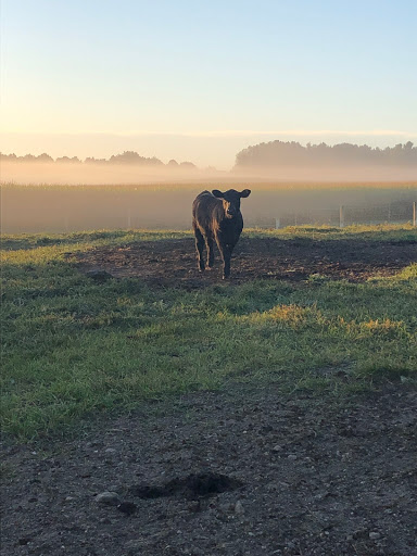 Livestock dealer Akron