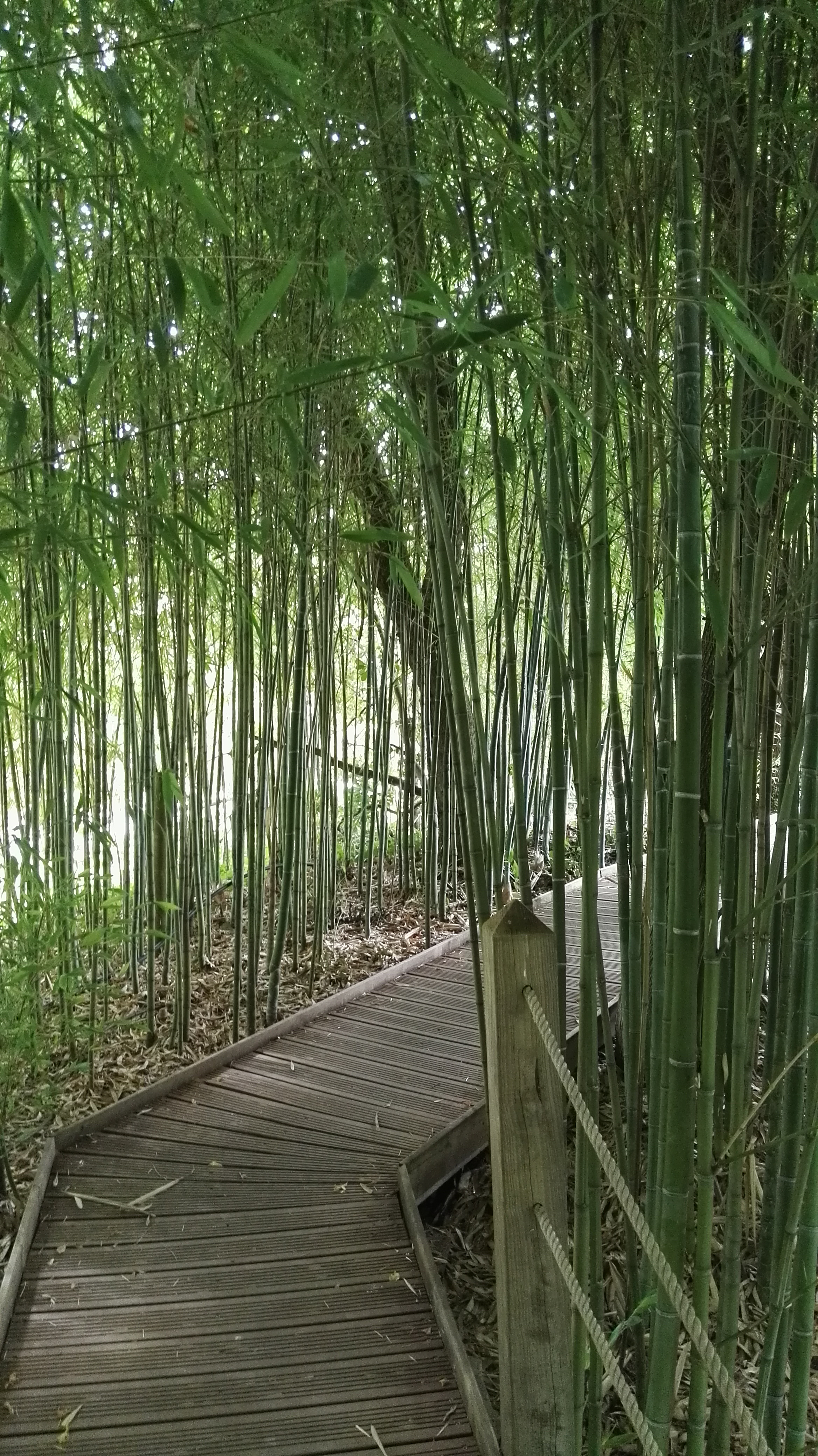 Photo n° 1 de l'avis de Petit.a fait le 12/07/2017 à 17:15