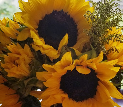 Sunflower Counseling Services, PLLC