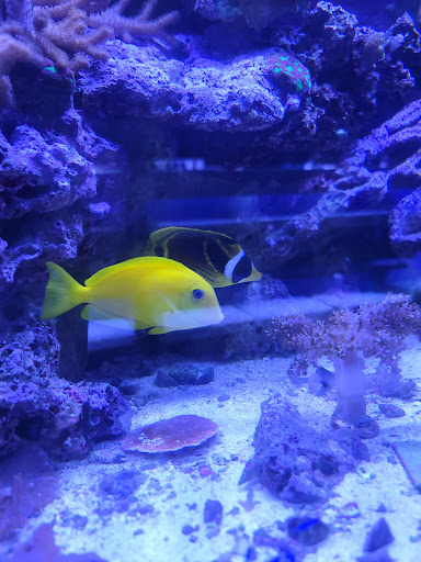 Pet Store «Moby Dick Pet Store Inc», reviews and photos, 3700 Sashabaw Rd, Waterford Twp, MI 48329, USA