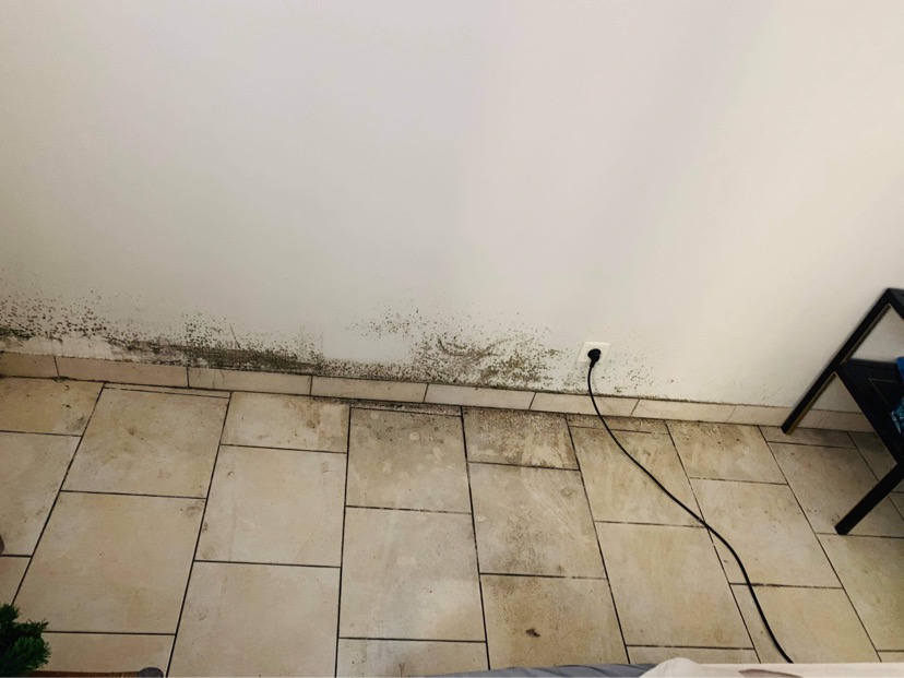 Photo n° 1 de l'avis de Titou..u fait le 18/09/2023 à 11:05