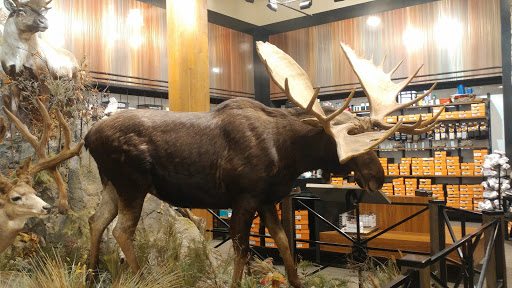 Outdoor Sports Store «Field & Stream», reviews and photos, 520 Clock Tower Way, Crescent Springs, KY 41017, USA