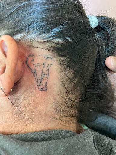 Explore arm butterfly tattoo ideas, creative tattoo ideas in Wisconsin Dells, available at Twisted Dimensions Tattoo Studio