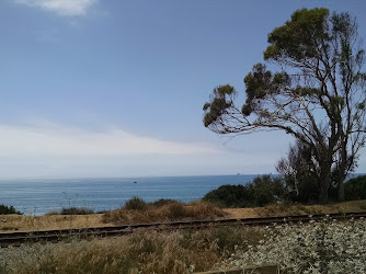 Carpinteria Bluffs Nature Preserve