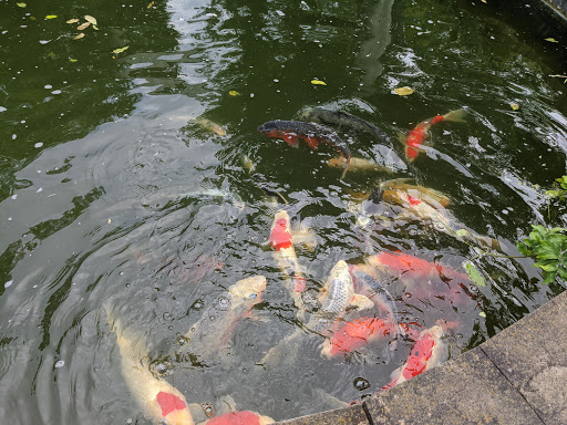 Pond Supply Store «Waterford Gardens», reviews and photos, 74 E Allendale Rd, Saddle River, NJ 07458, USA